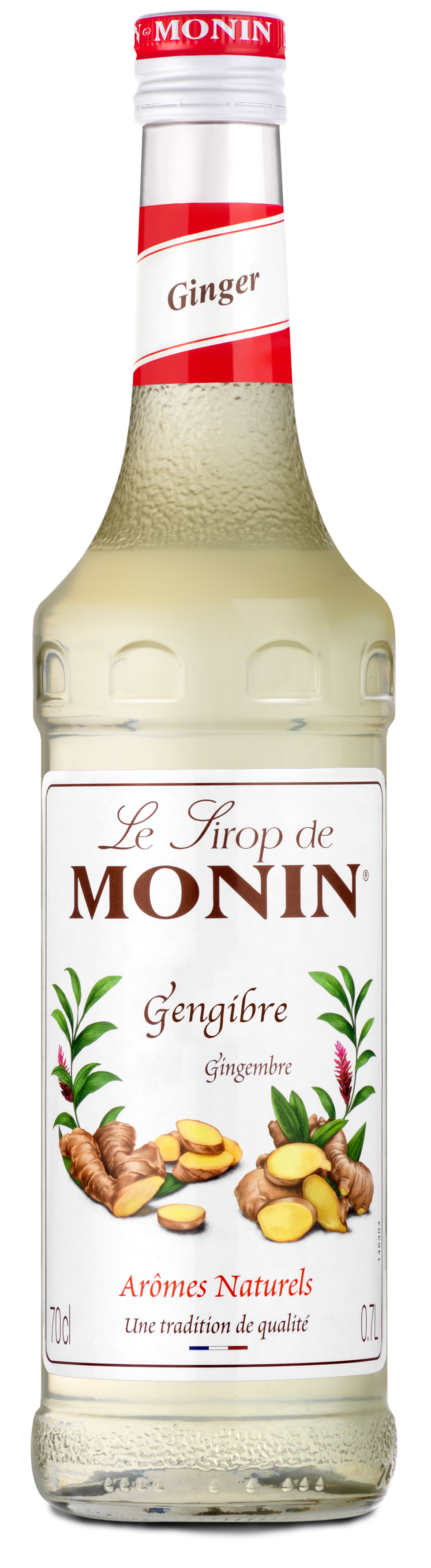 XAROPE MONIN GENGIBRE 700ML