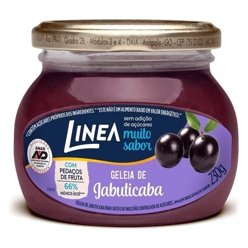 GELEIA DIET LINEA JABUTICABA POTE 230G