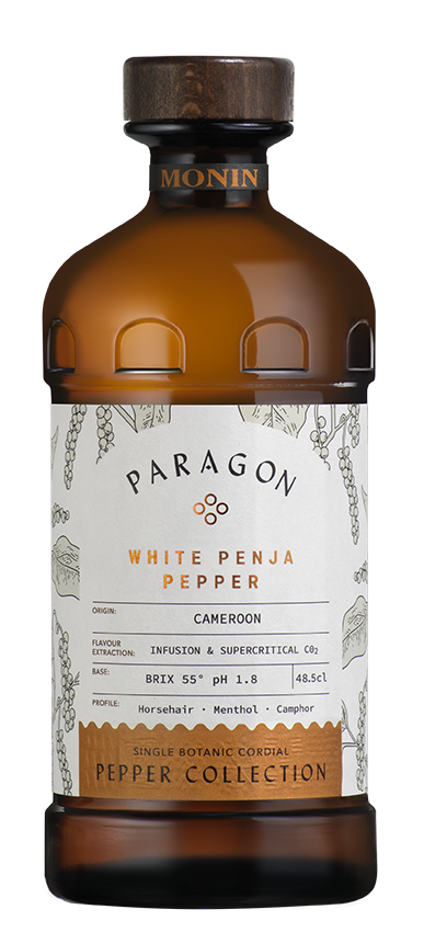 PARAGON WHITE PENJA PEPPER MONIN 485ML