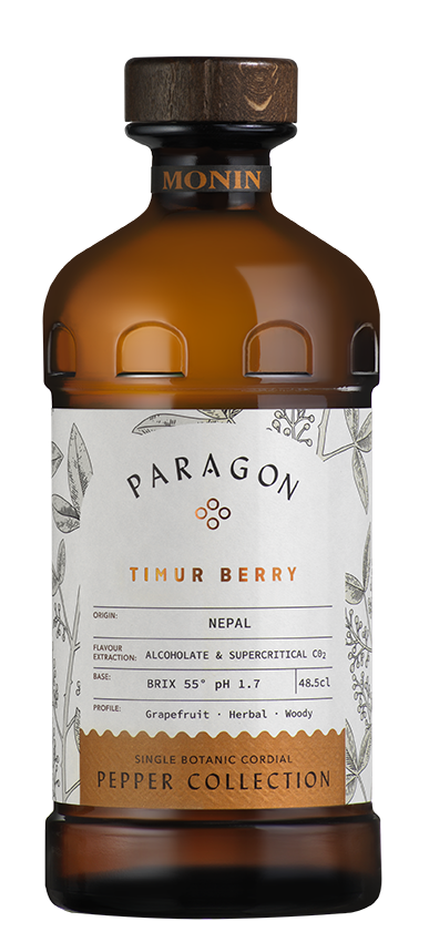 PARAGON TIMUR BERRY MONIN 485ML