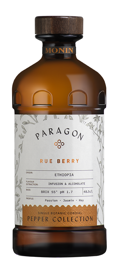 PARAGON RUE BERRY MONIN 485ML