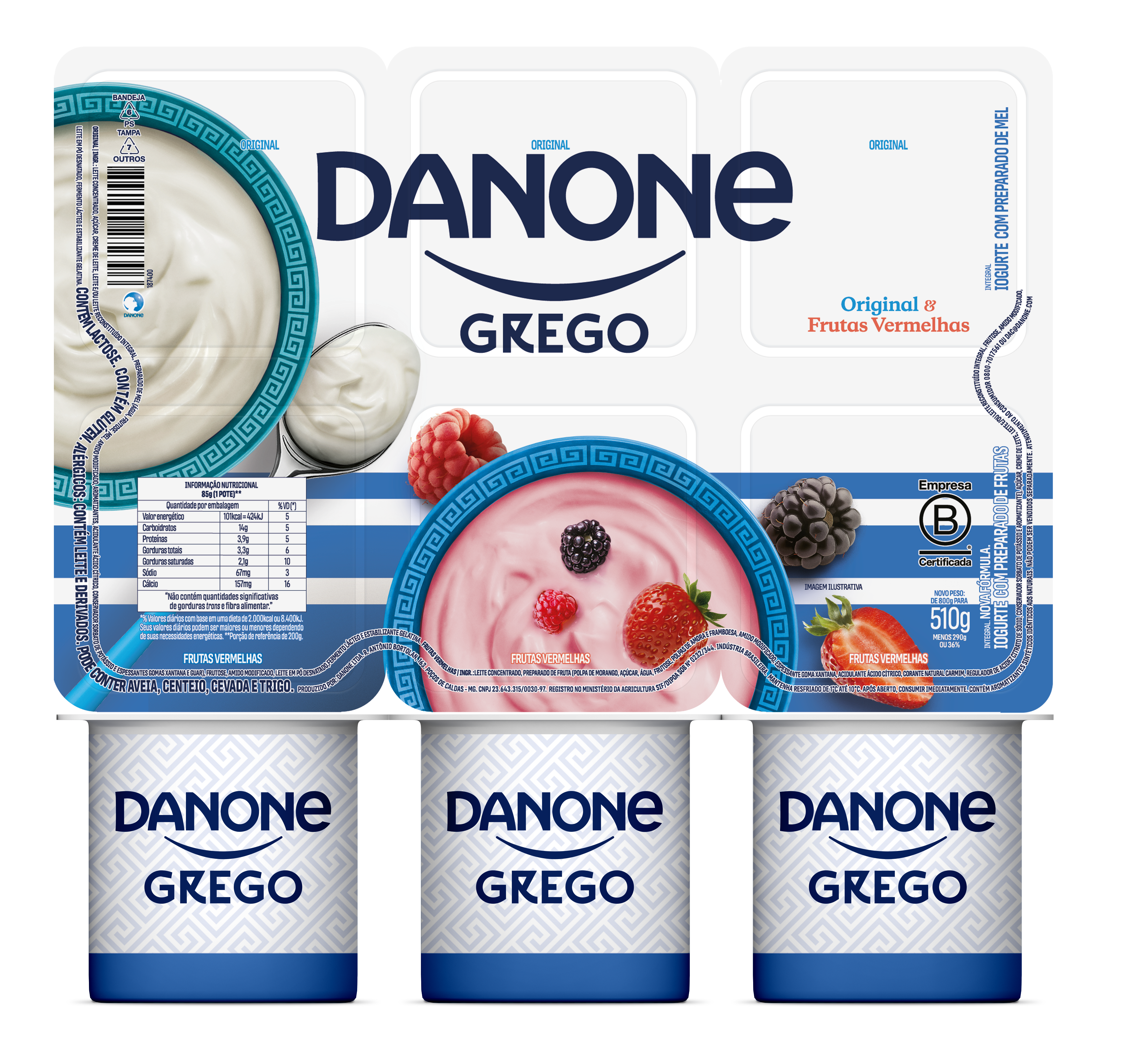 DANONE GREGO ORIGINAL E FRUTAS VERMELHAS 510G
