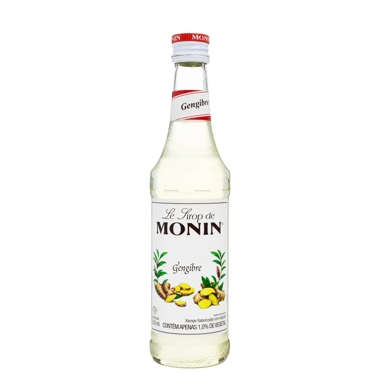 XAROPE MONIN GENGIBRE 330ML